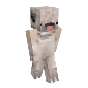 namemc  Minecraft Skins