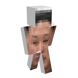 Kim, Minecraft Skin