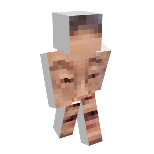 Face Minecraft Skins
