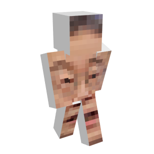 Face Minecraft Skin